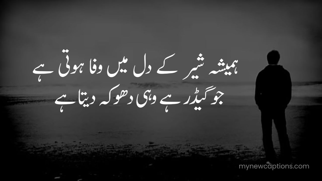 Urdu poetry 2 lines text attitude with deep meaning